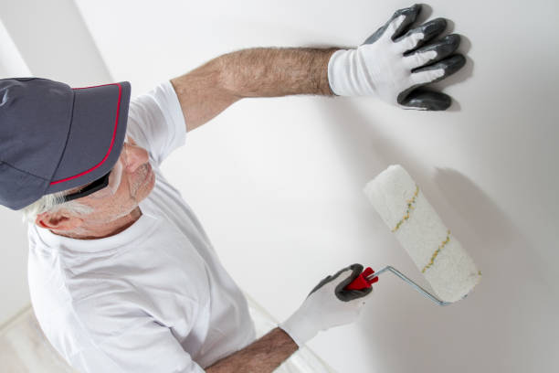 Trusted North Bennington, VT Mold Removal Experts