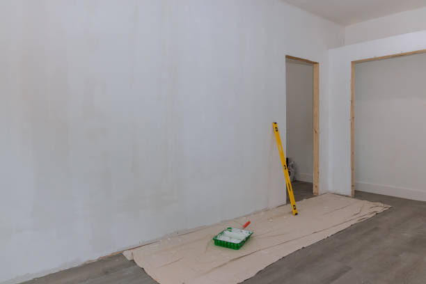 Best Mold Odor Removal Services  in North Bennington, VT