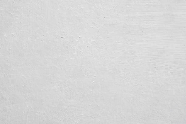  North Bennington, VT Mold Removal Pros