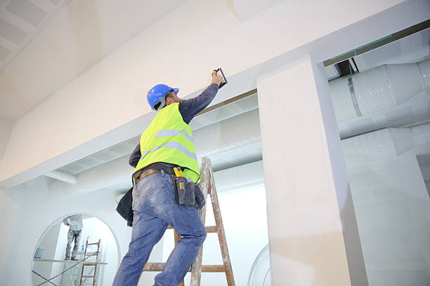 Best Mold Damage Restoration  in North Bennington, VT