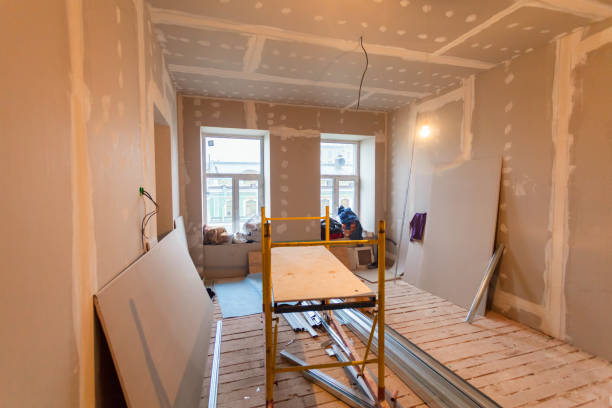 Best Black Mold Removal  in North Bennington, VT